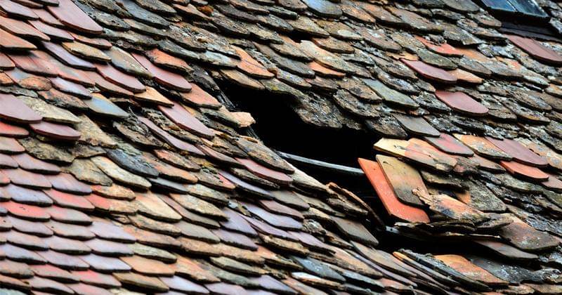 Pixabay/congerdesign